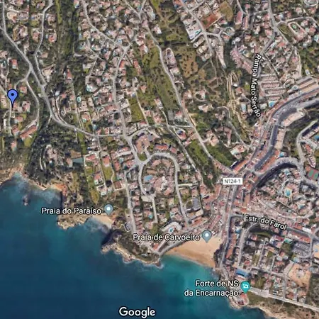 Gatao Carvoeiro (Lagoa)